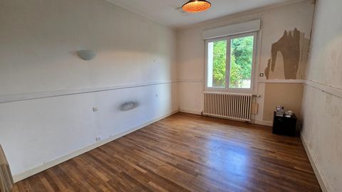 photo no. 11
