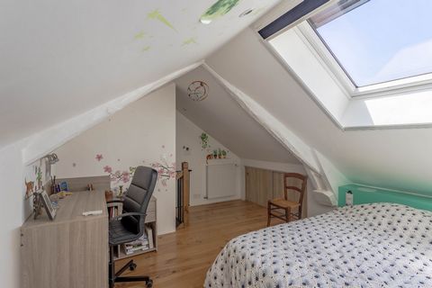 photo no. 13