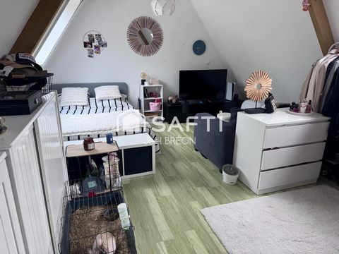 photo no. 13