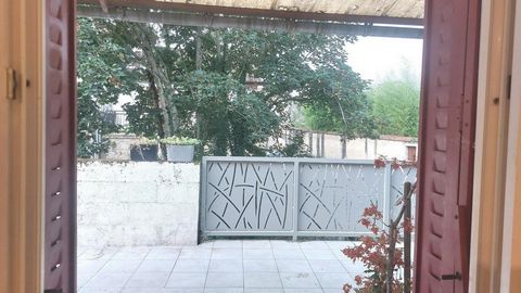 photo no. 6