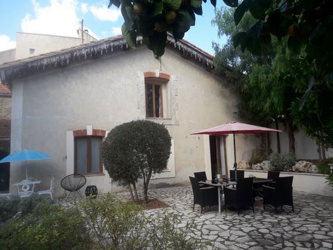 photo no. 9