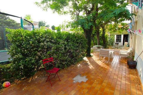 photo no. 12