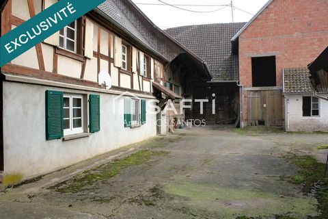 photo no. 9