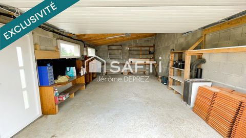 photo no. 8