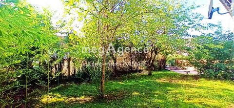 photo no. 17