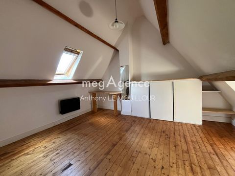 photo no. 14