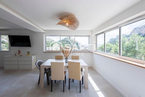 photo no. 16
