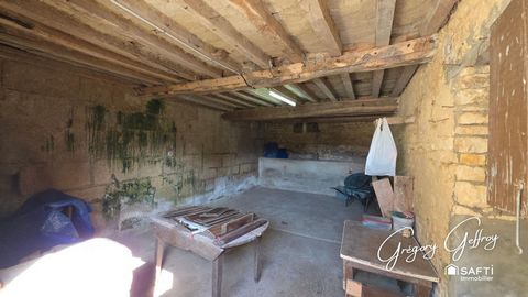 photo no. 16