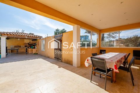 photo no. 11