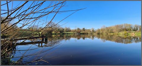 photo no. 9