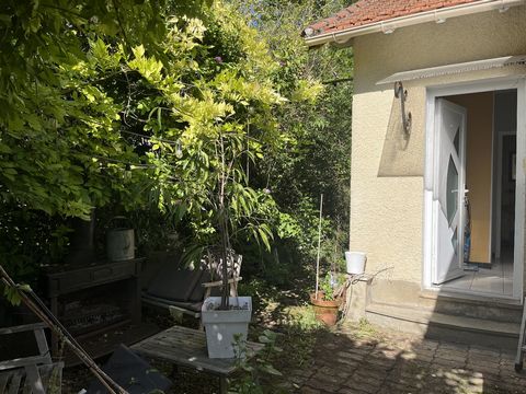 photo no. 8