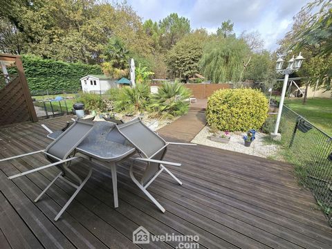 photo no. 18