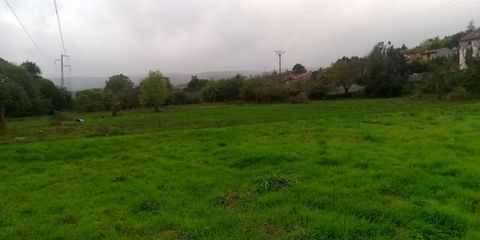 photo no. 1