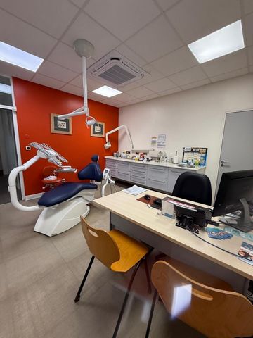 photo no. 10