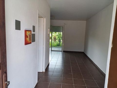 photo no. 3