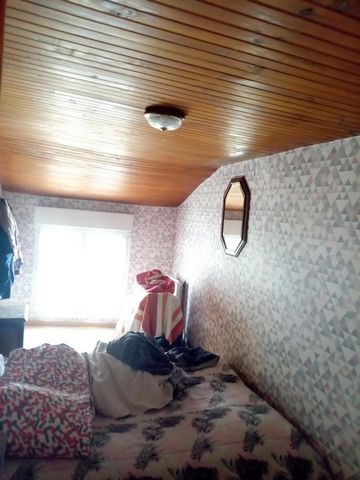 photo no. 4