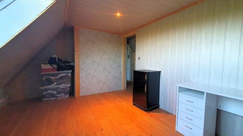 photo no. 17