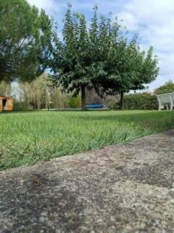 photo no. 5
