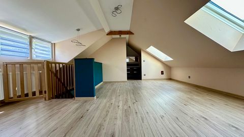 photo no. 10