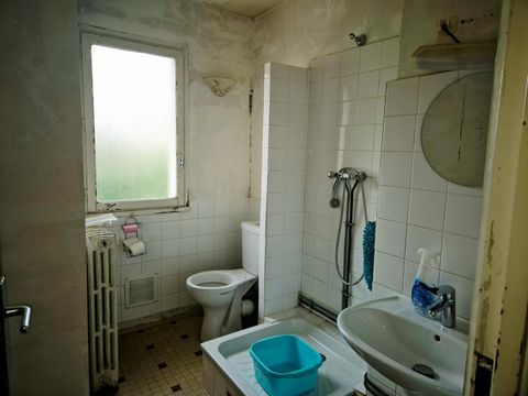 photo no. 11