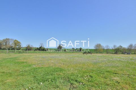 photo no. 15