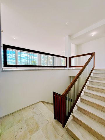 photo no. 3