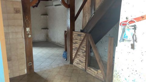 photo no. 4