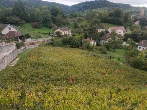 Joli grand terrain constructible à ARBOIS (JURA ) à 2 min du centre
