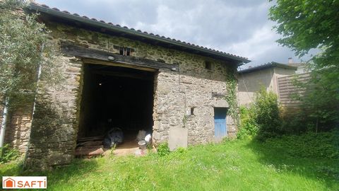 photo no. 10
