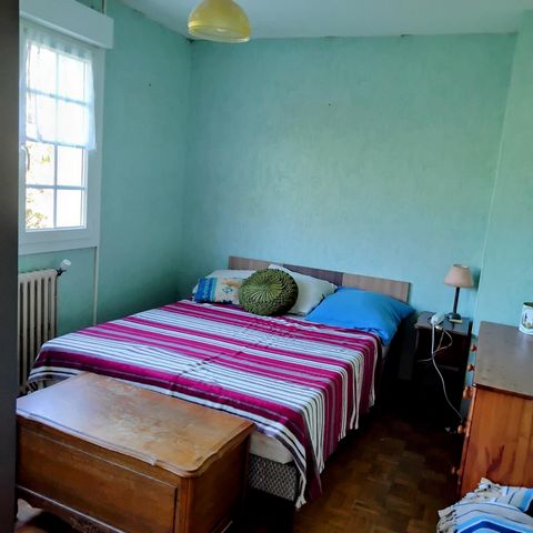 photo no. 6