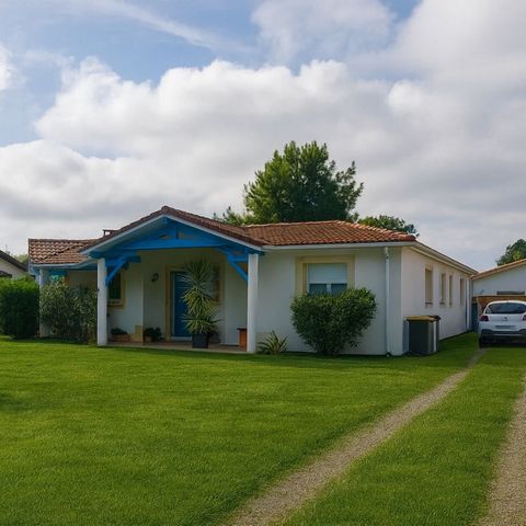 photo no. 19
