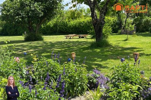 photo no. 14