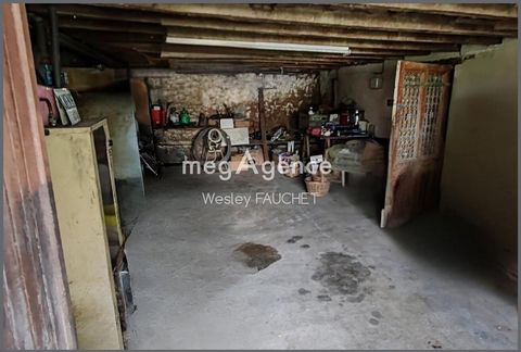 photo no. 6