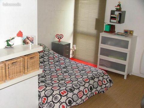 photo no. 11