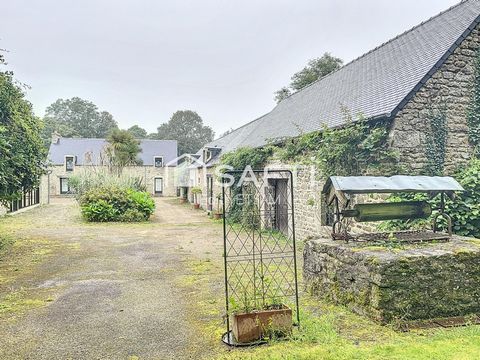 photo no. 4