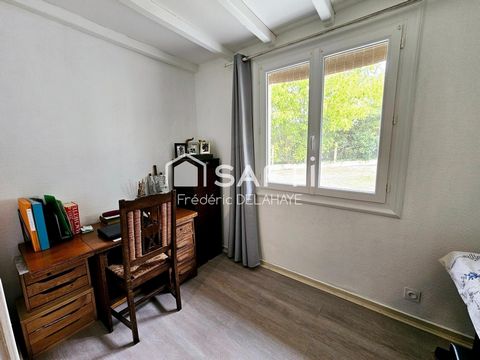 photo no. 12