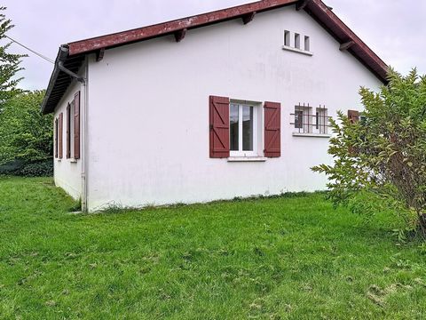 photo no. 6