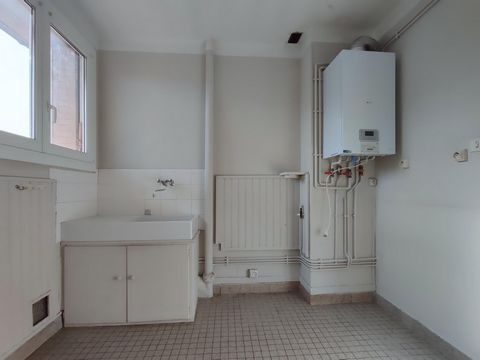 photo no. 7