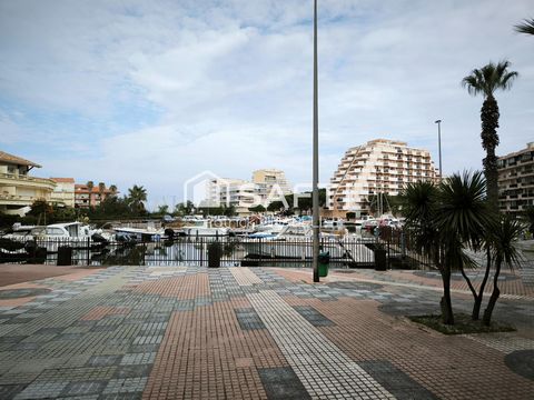 photo no. 10