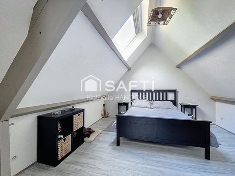 photo no. 12