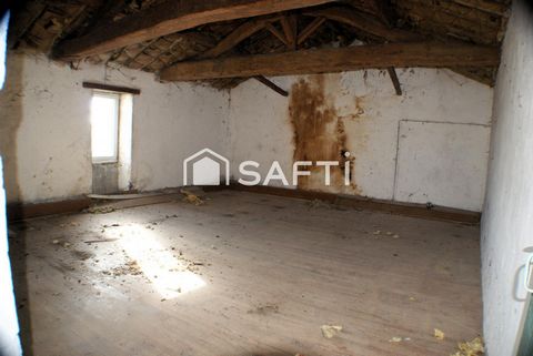 photo no. 11