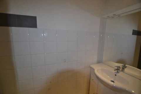 photo no. 5