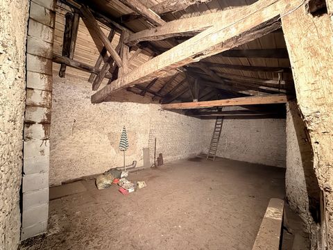 photo no. 10