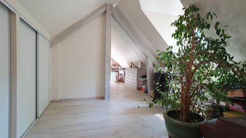 photo no. 15