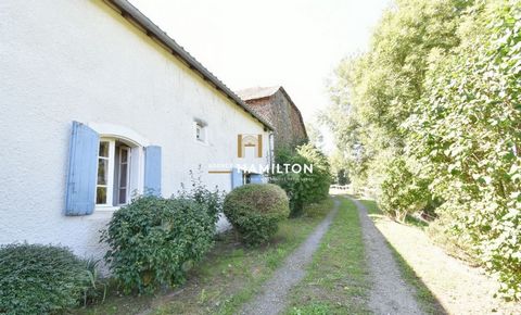 photo no. 9