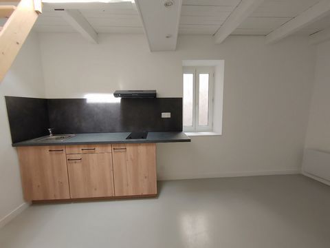 photo no. 13