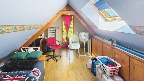 photo no. 10