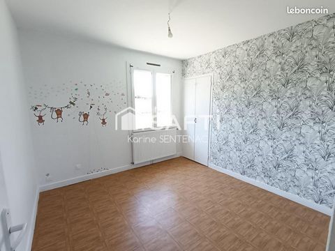 photo no. 12