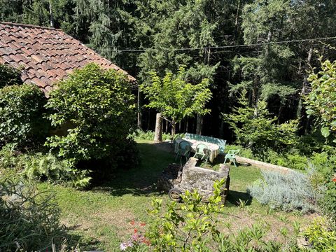 photo no. 17