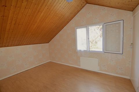 photo no. 6